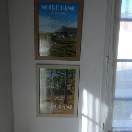 Maison Lumineuse 37m² A 50m De La - 4 Pers - Animaux Admis - Fr-1-540-282 度假居 山地圣母村