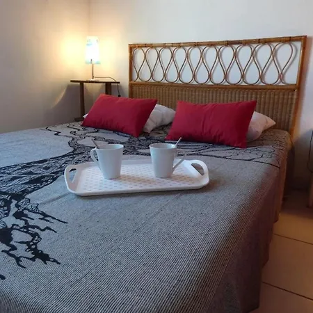 度假居 Maison Lumineuse 37m² A 50m De La - 4 Pers - Animaux Admis - Fr-1-540-282 山地圣母村